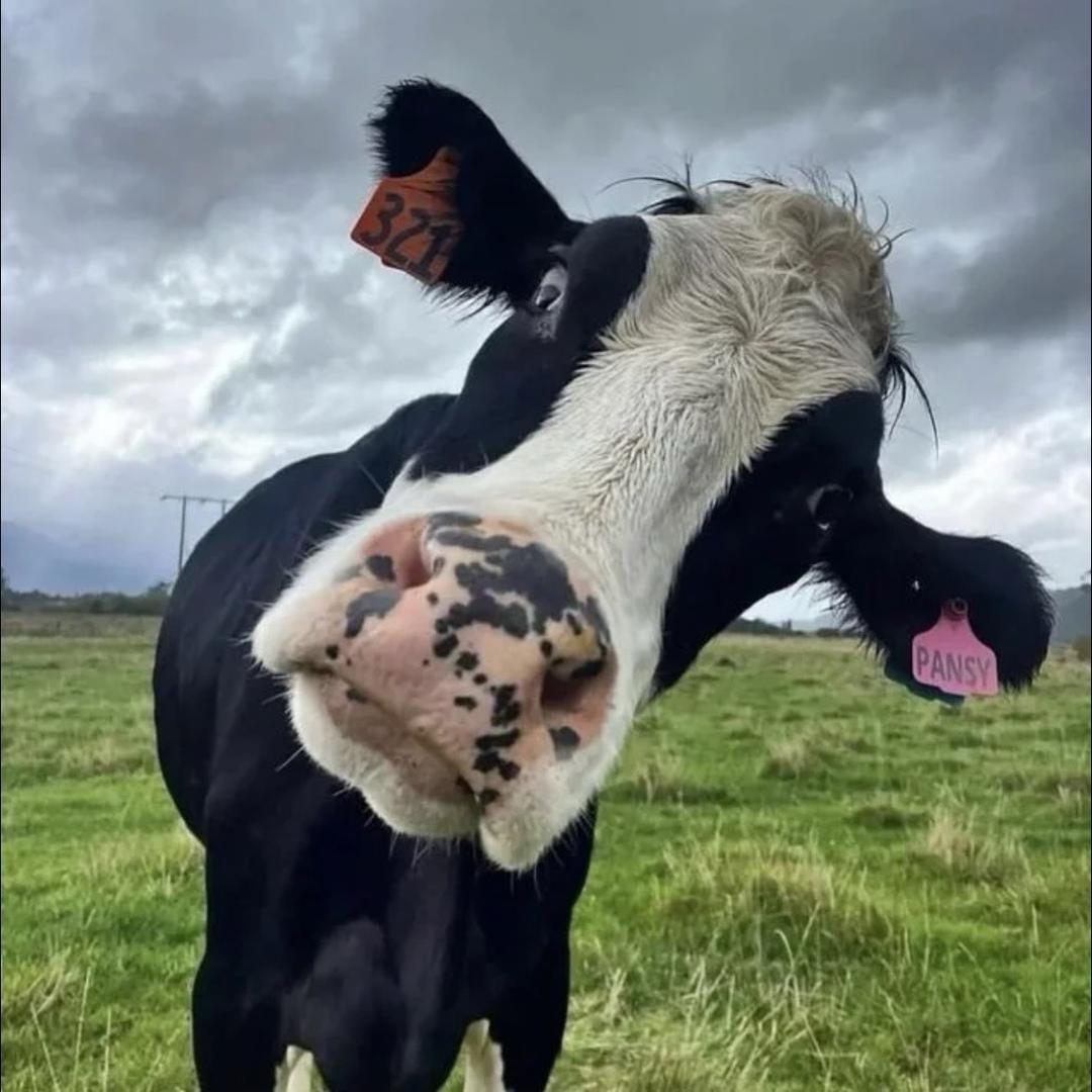 99.
