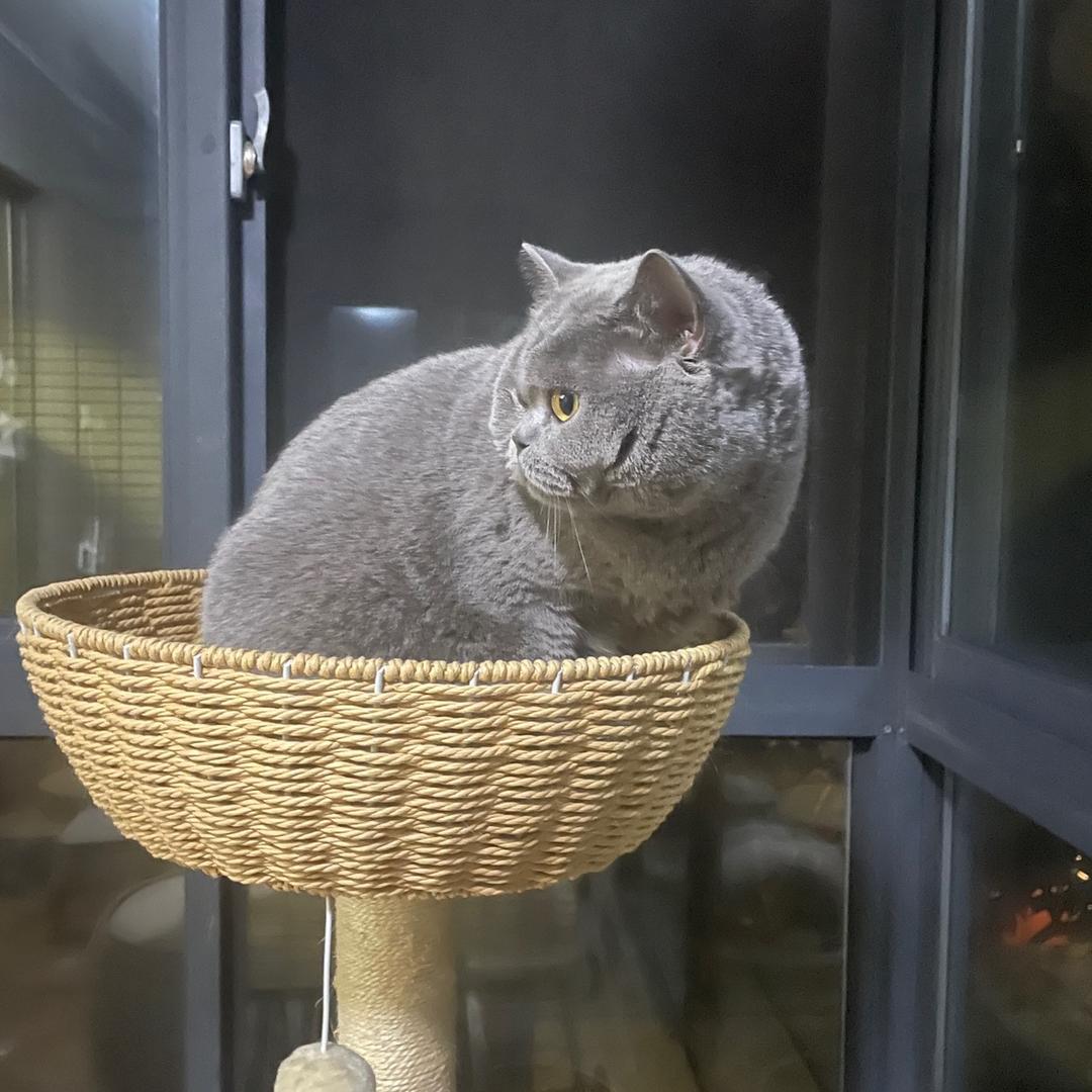 李胤祺🐱🐱🐱