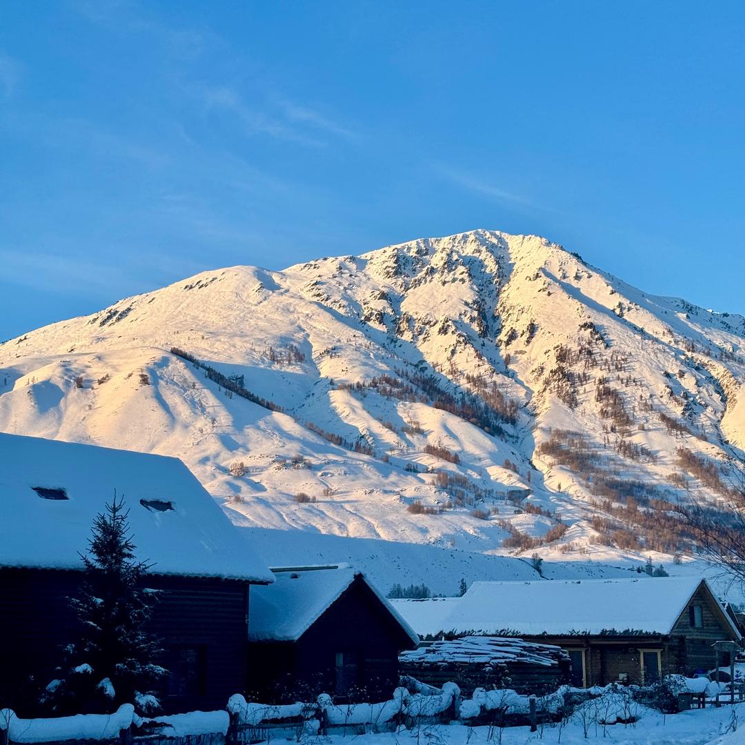 每天拿个铁（减肥骂醒）