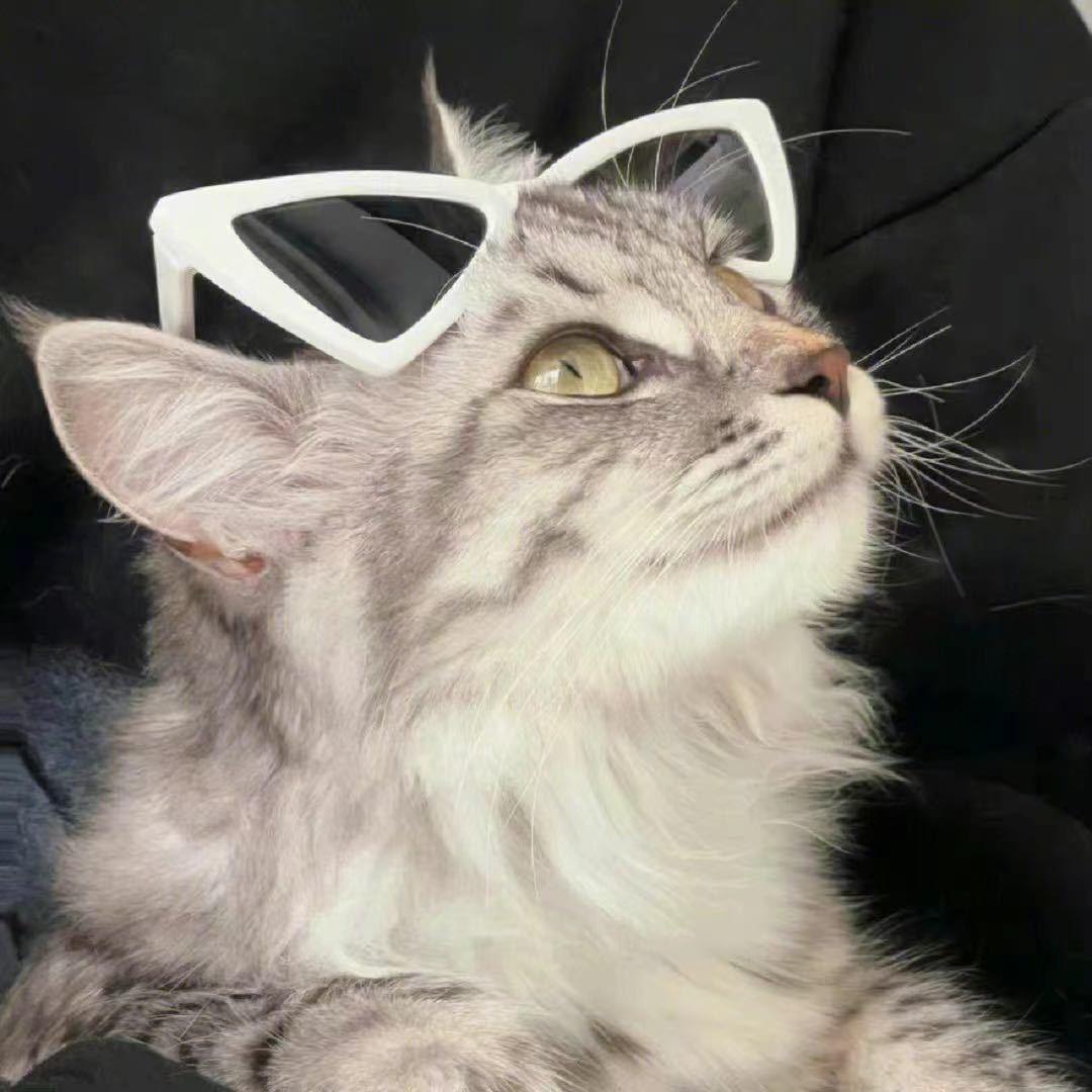 sik_