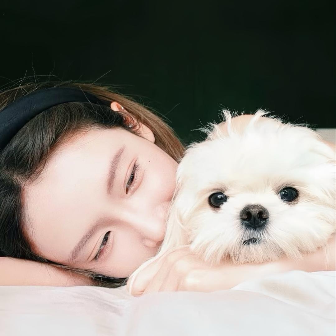 Mㅤ     ㅤ