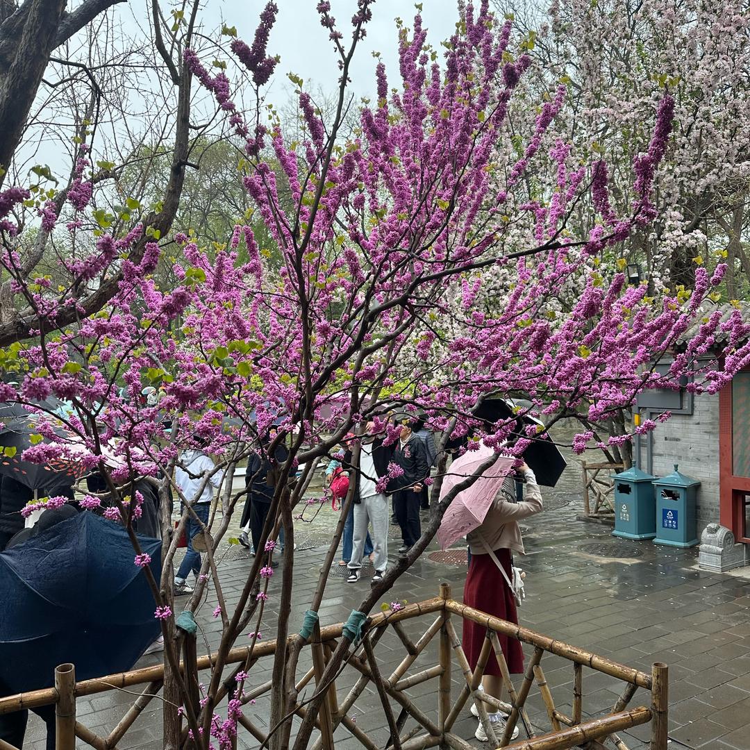 遥遥领先