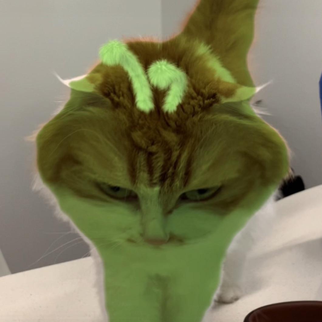 MAMEKO🥕