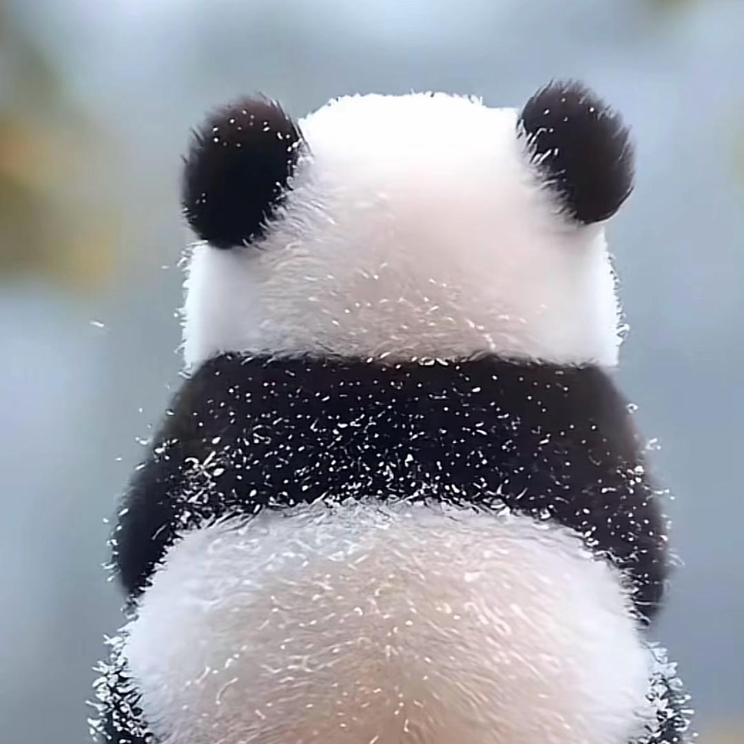光点