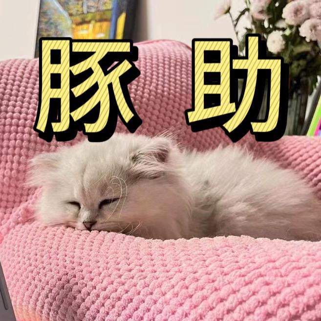 豚豚小助理（好物分享版）