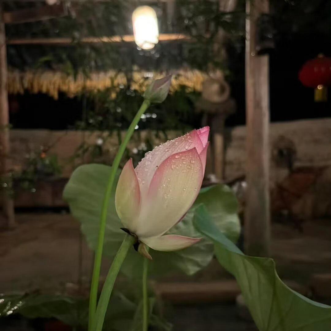 Yu鸢于