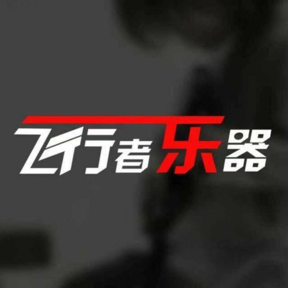 飞行者乐器折扣店
