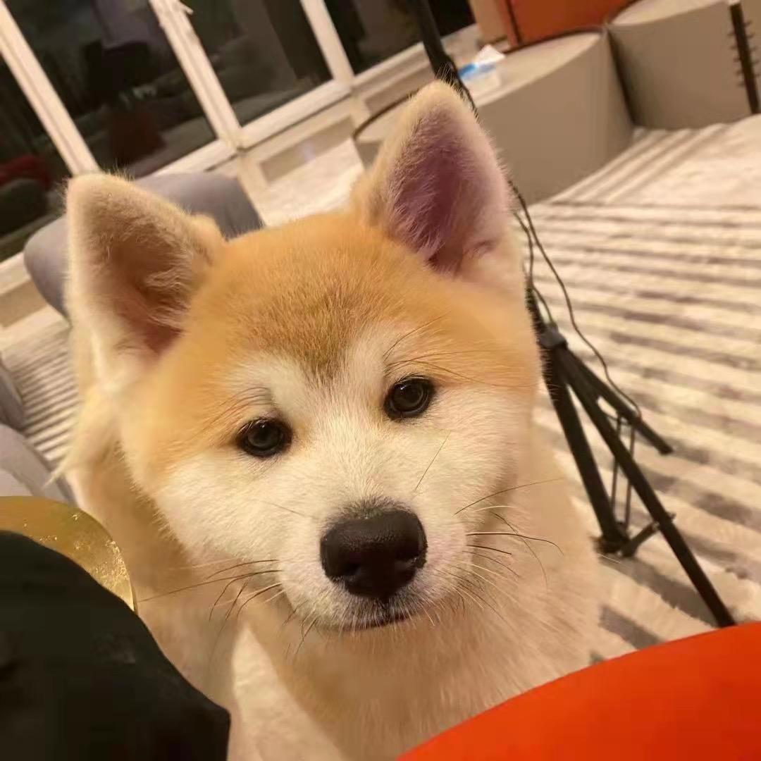 小瑞✔️