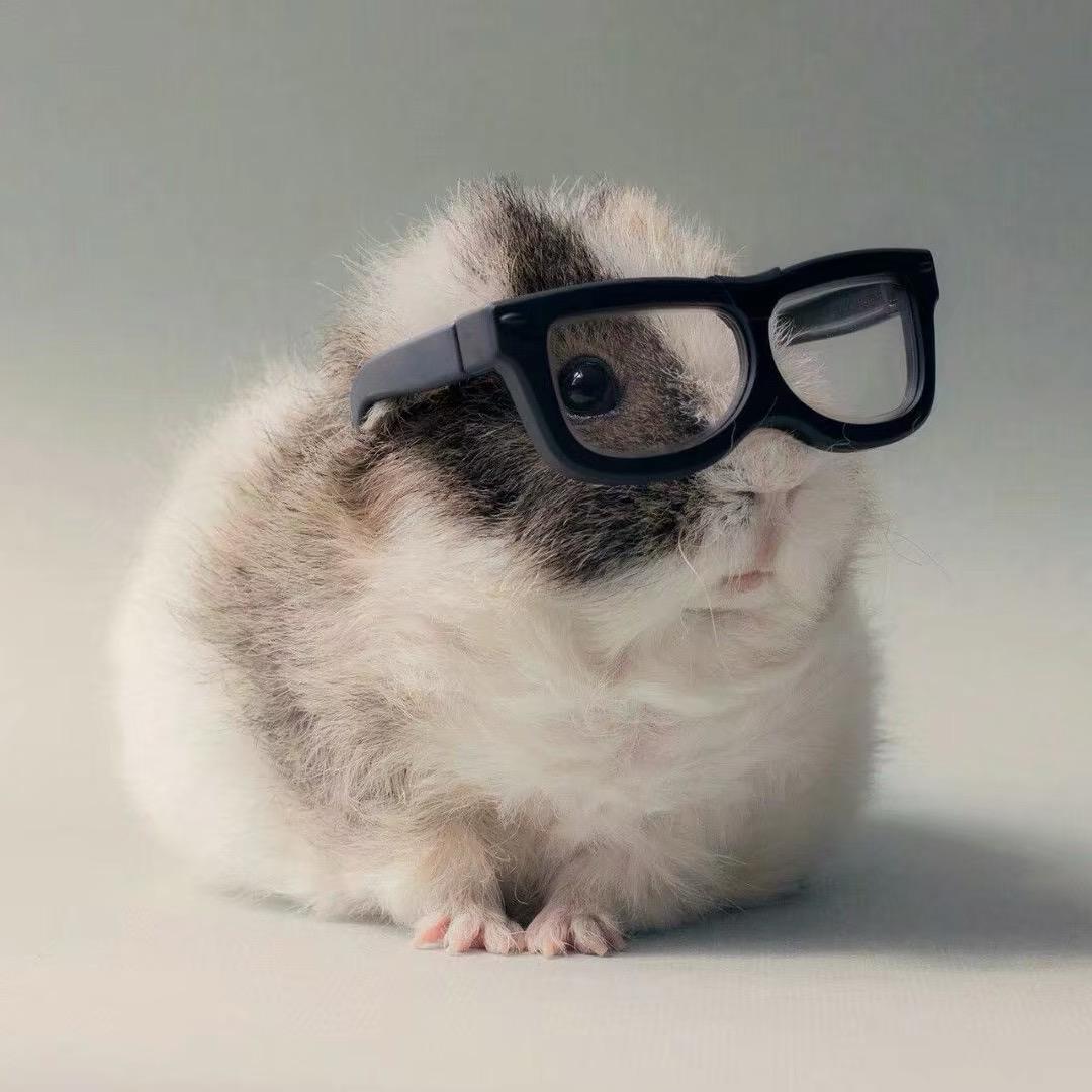 x1aoma.G🔥🔥🔥