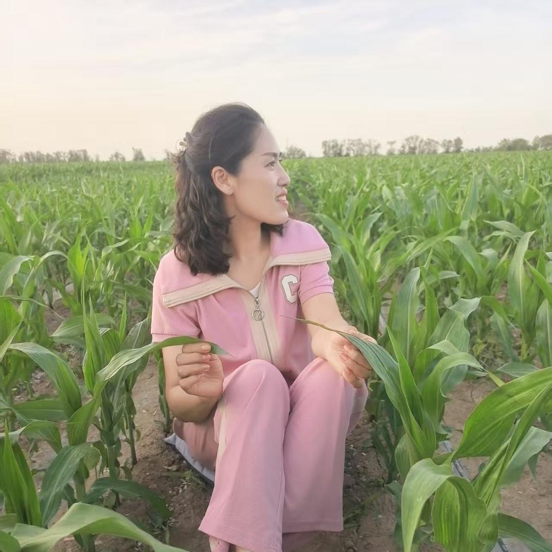 玉米🌽丽红（新疆富友）