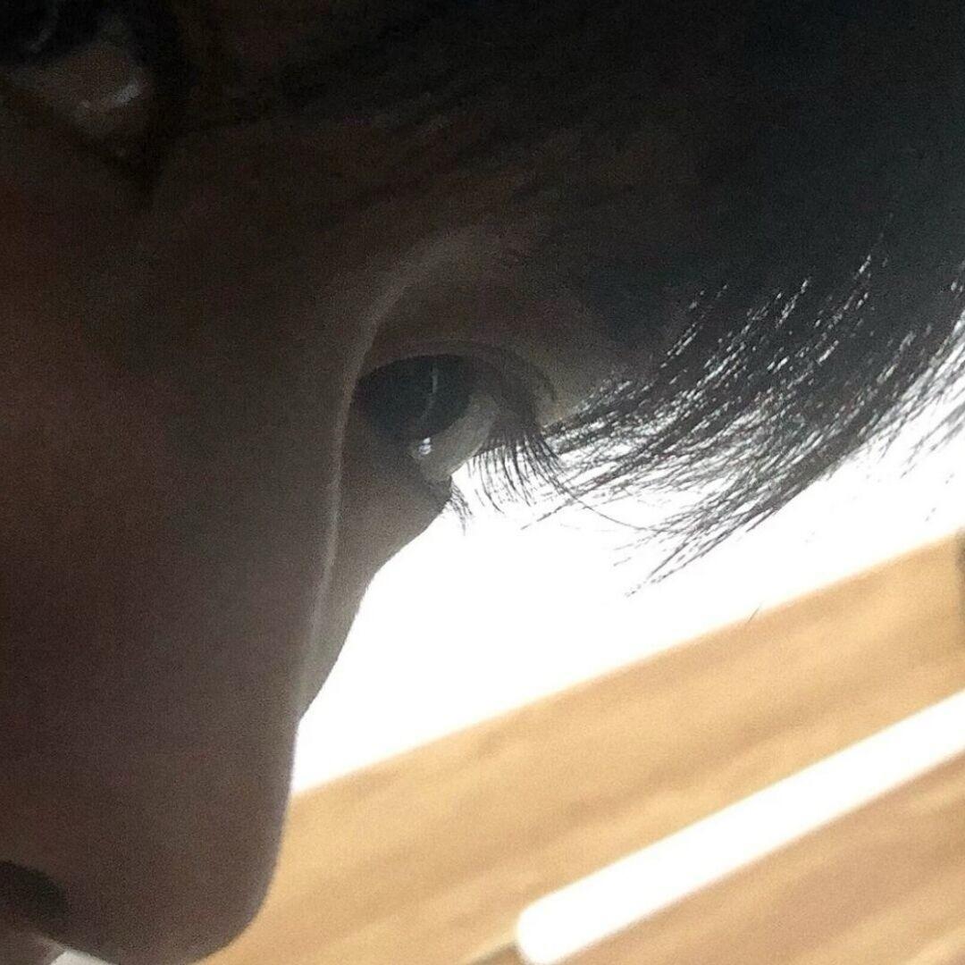 另存为