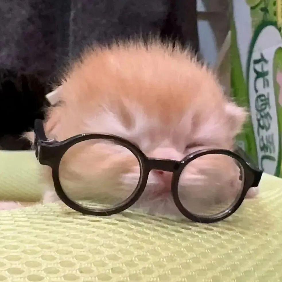 不Hello Kitty