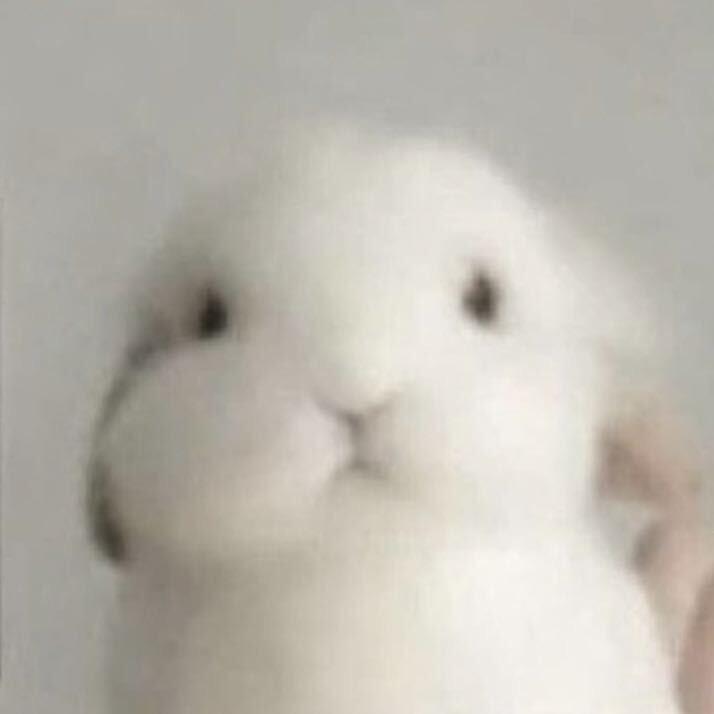 杨小伟Sammie