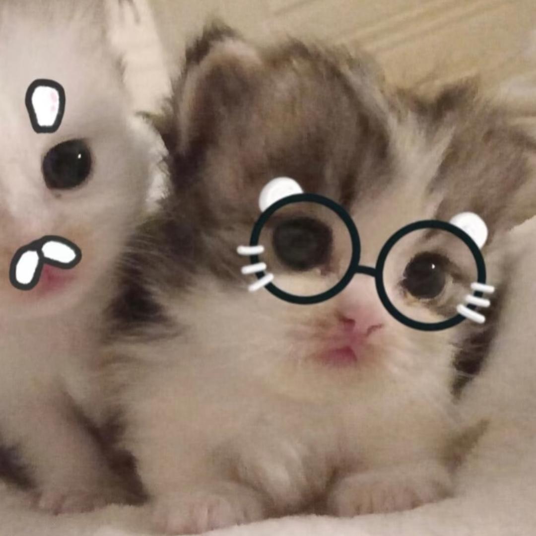 Hiimtiffanie