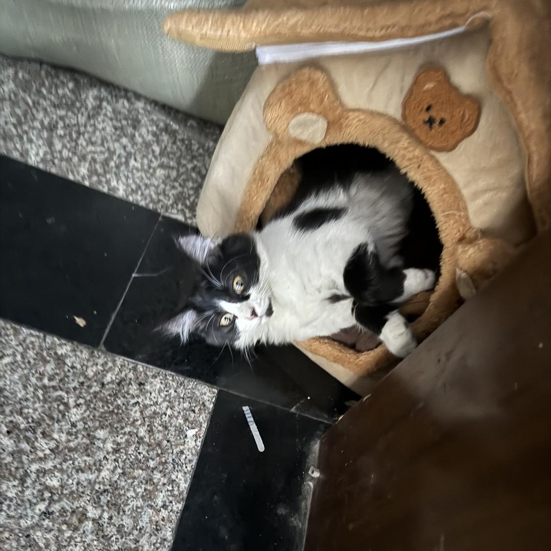 织里老胡批发一站式好货