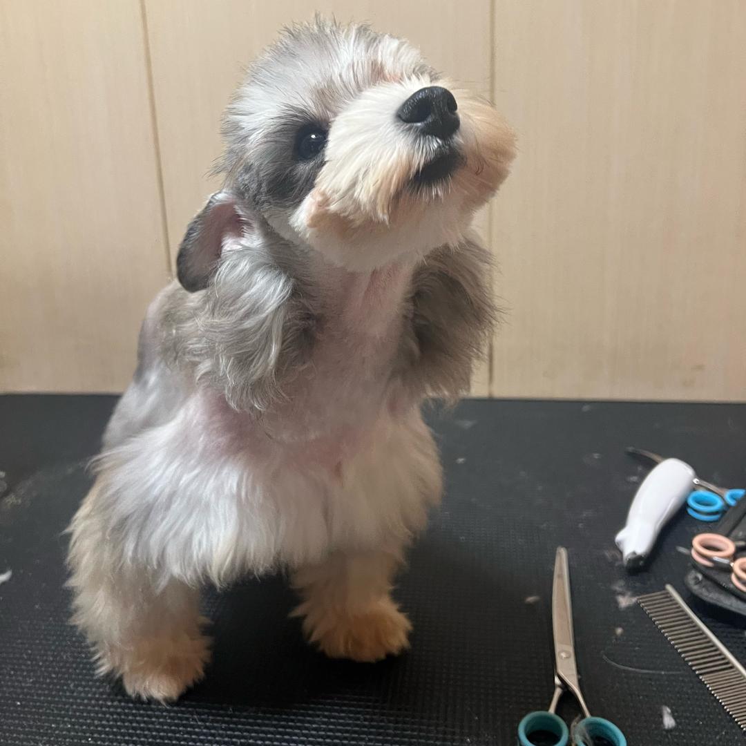 乐牧宠物生活馆