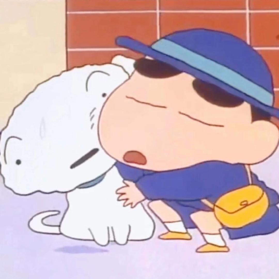 小狗不熬夜啦