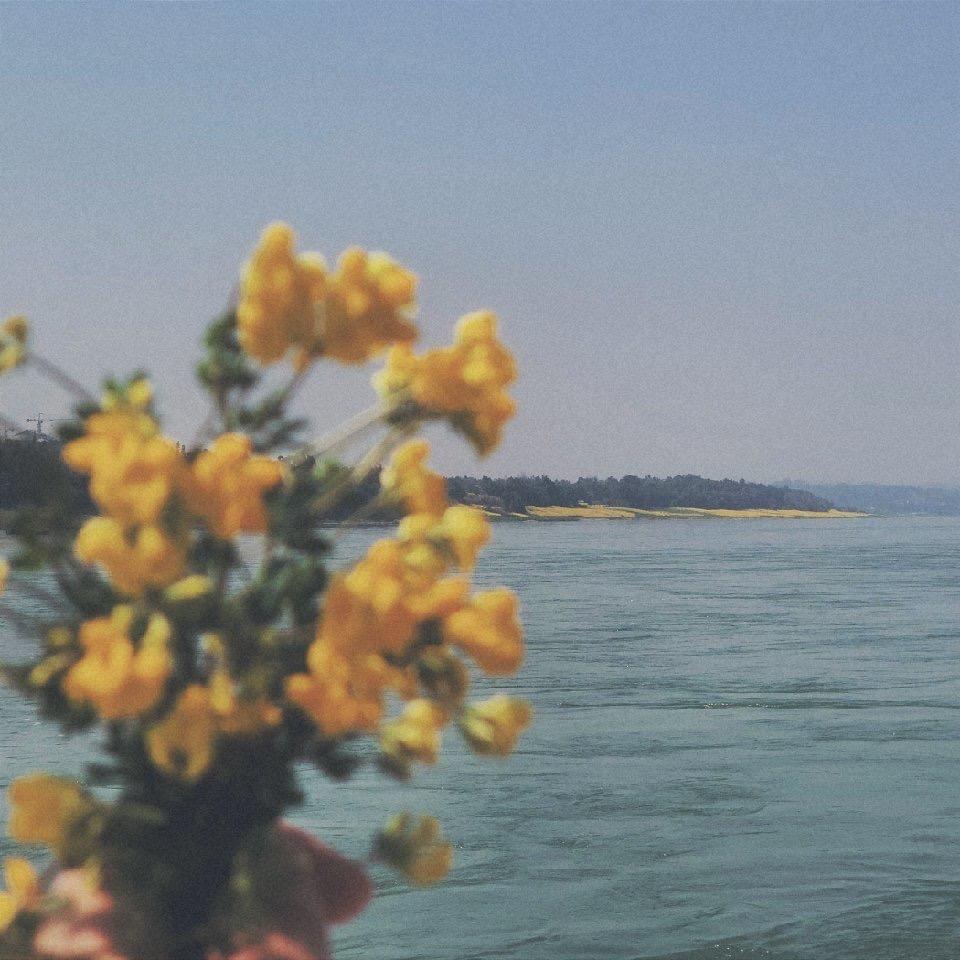 这个人有什么好介绍的