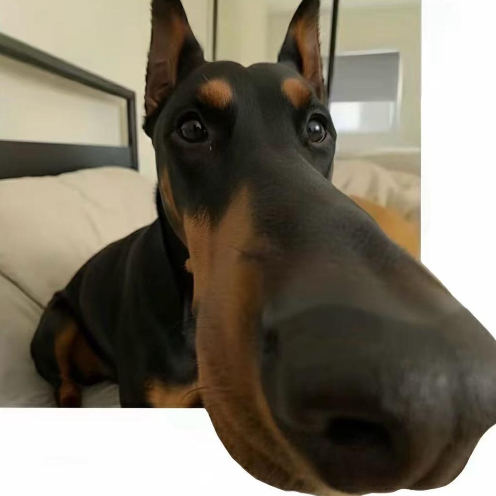 阿磊.