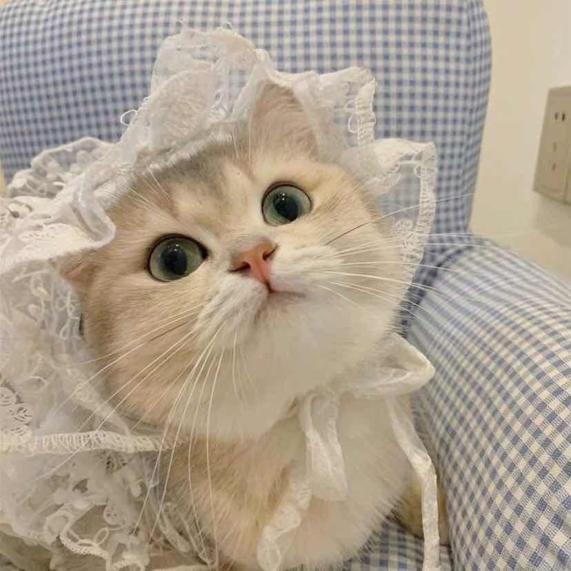 🌈嘉婷