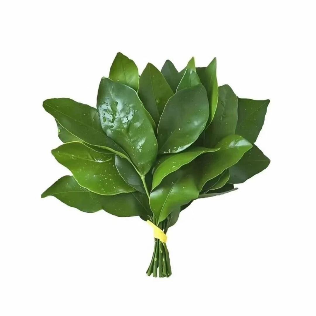 崔_