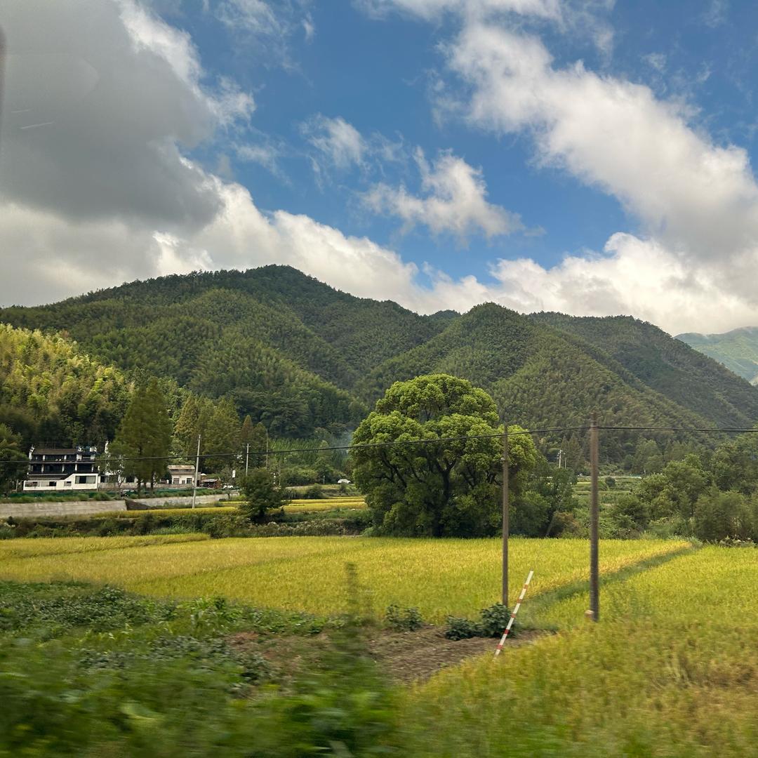 古月久花