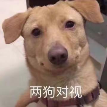 姚冠宇的帅崽头像