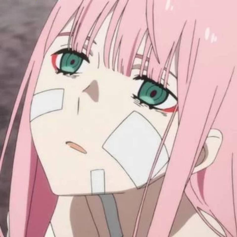 AAA农村土鸡蛋批发 黄姐