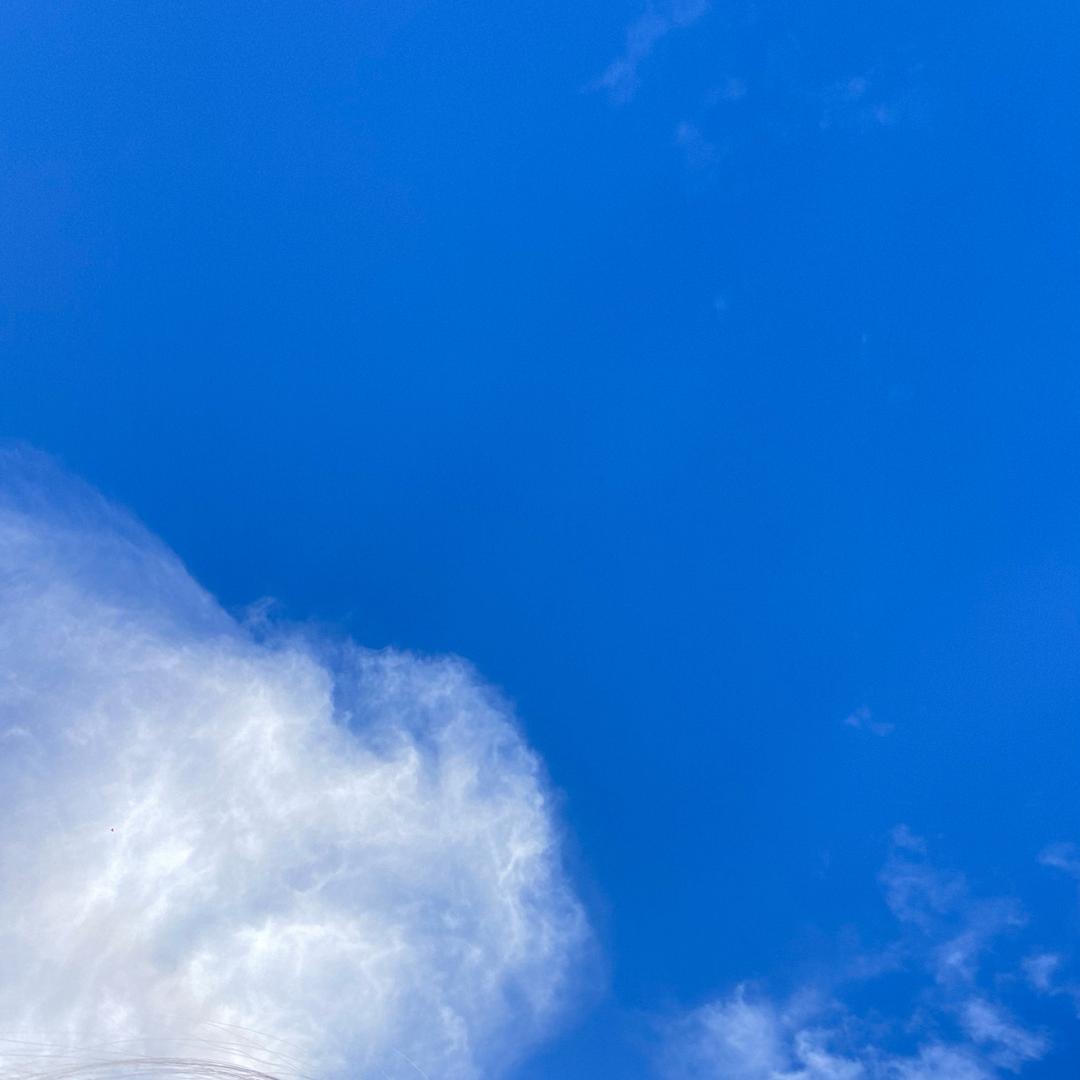 四婚爱上小姨子