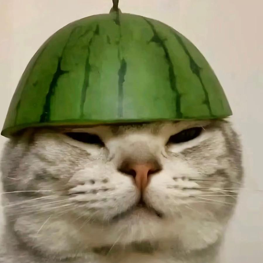 ▞▙▛▖▜▖▗▝ ▞▙▛▖▜▖