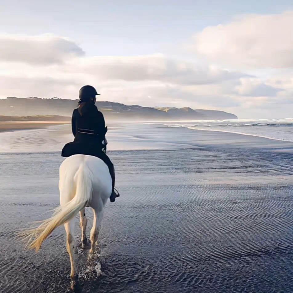 你的头被卡住了