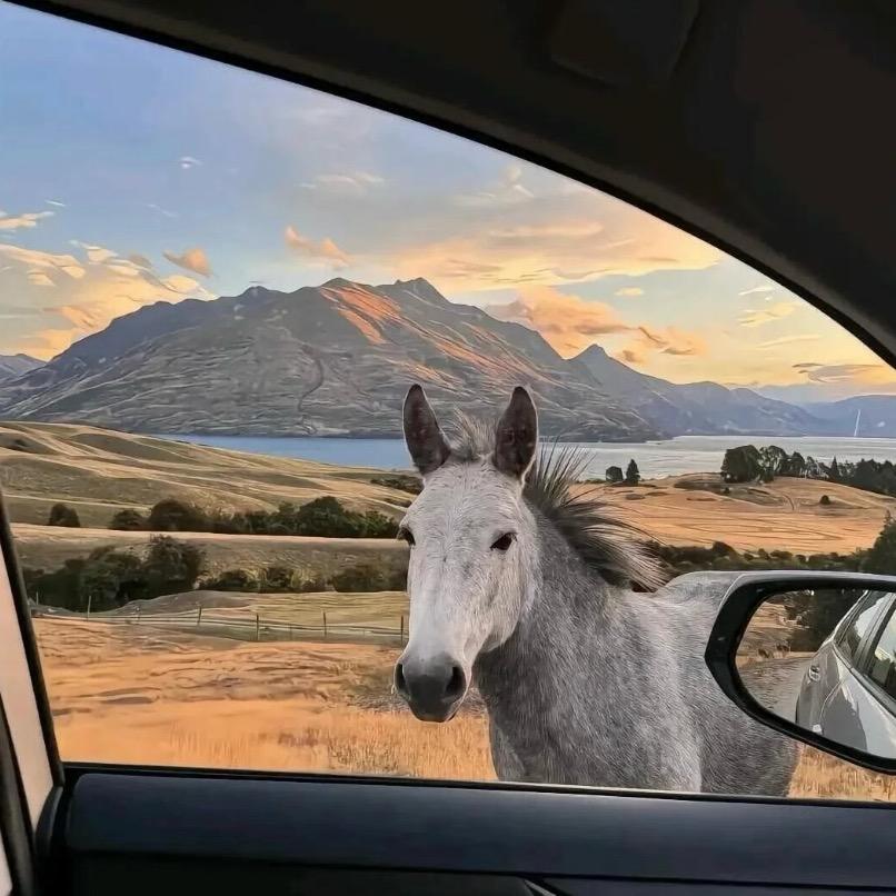 每天进步一点点🌸