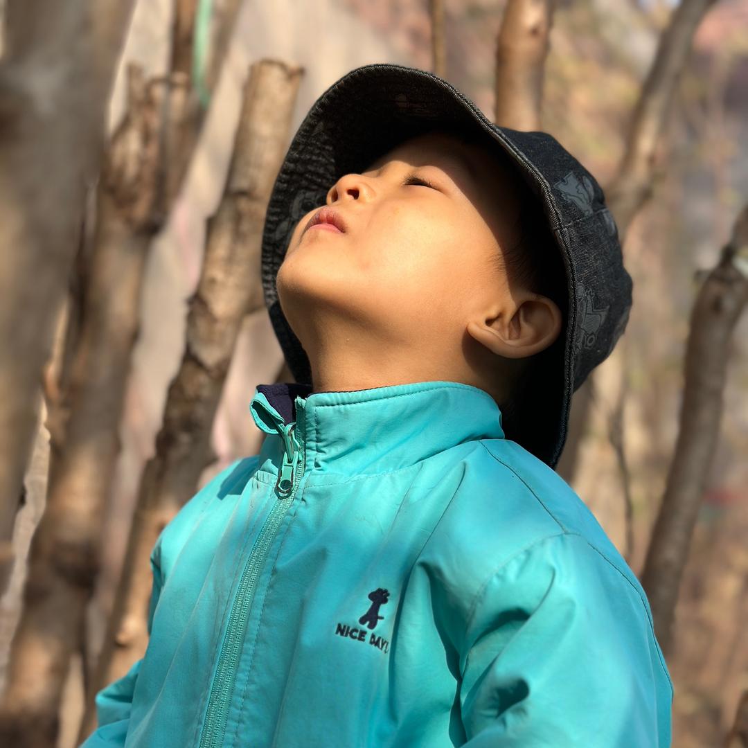 清晨☀️在发光