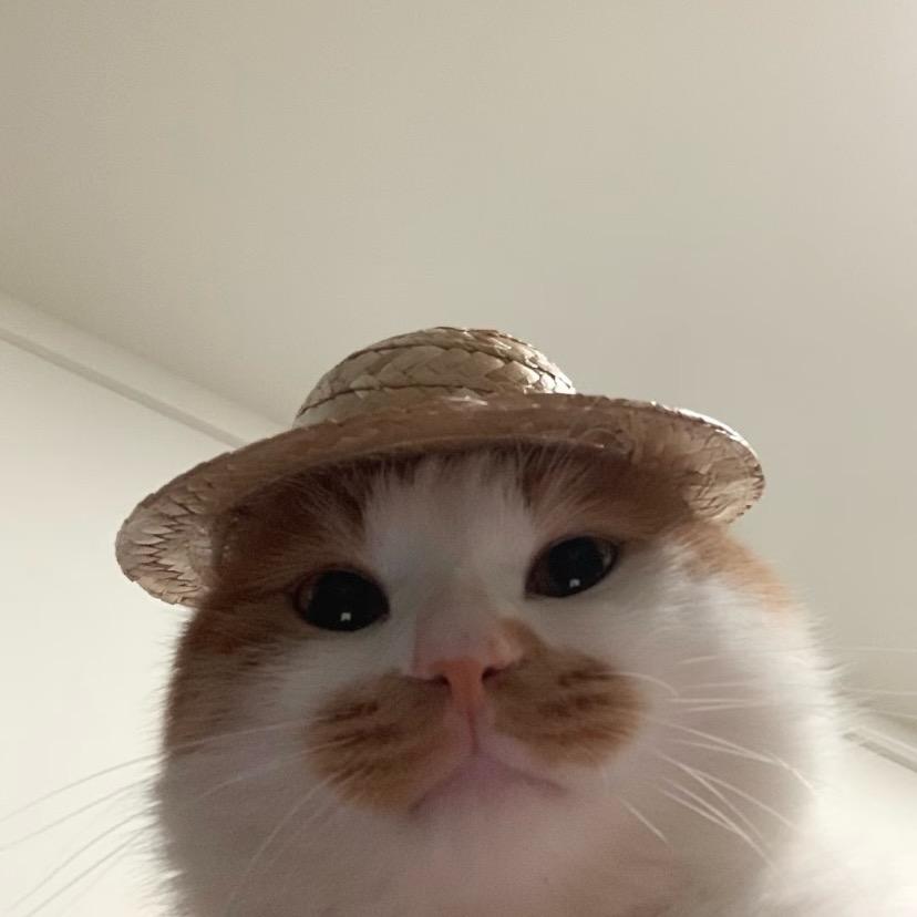 VvV.