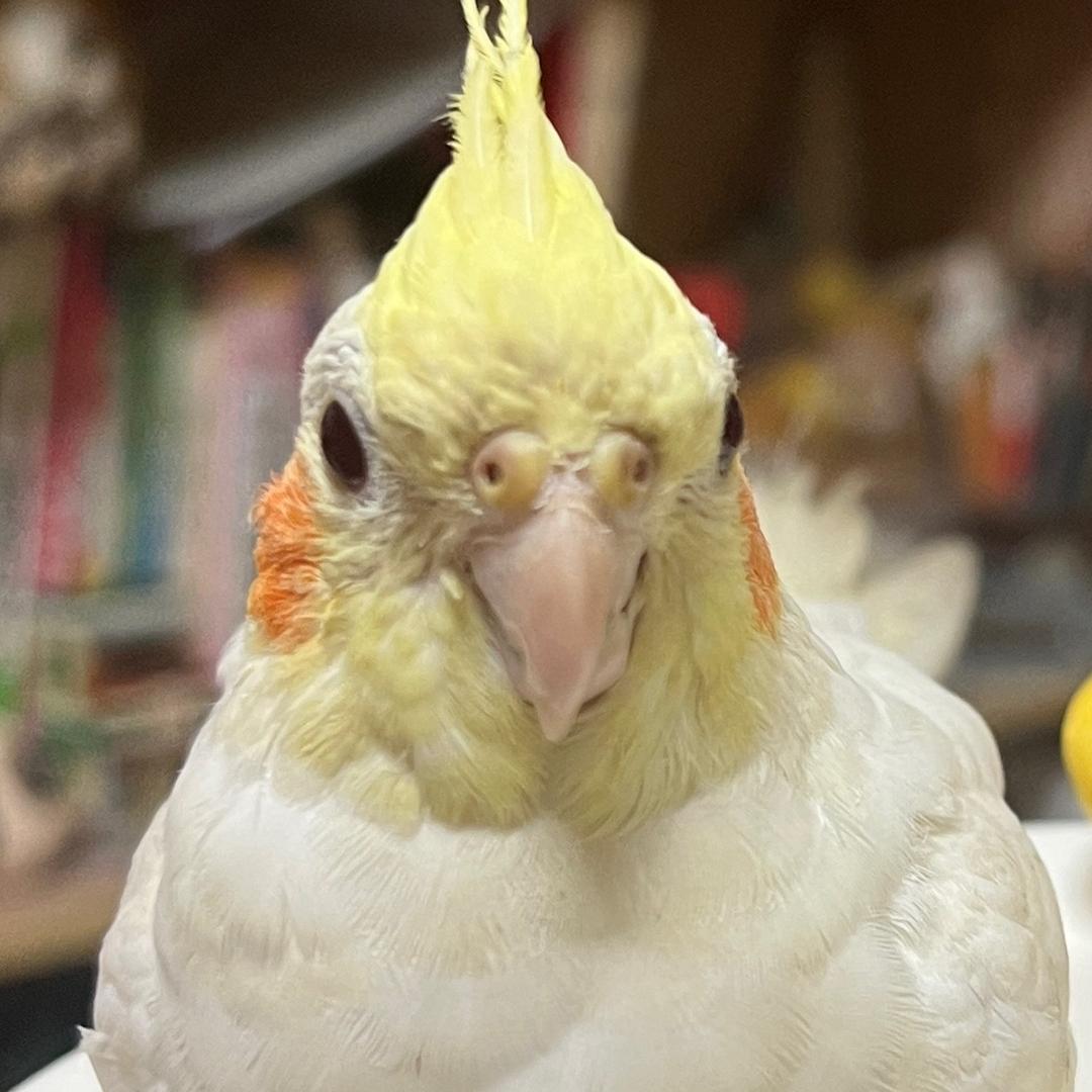 🌈花师奶冇花🌈