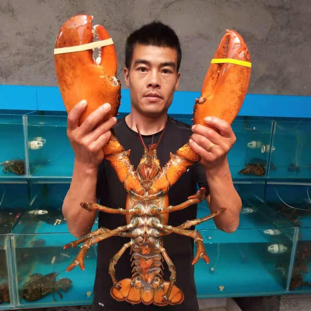小涛生鲜