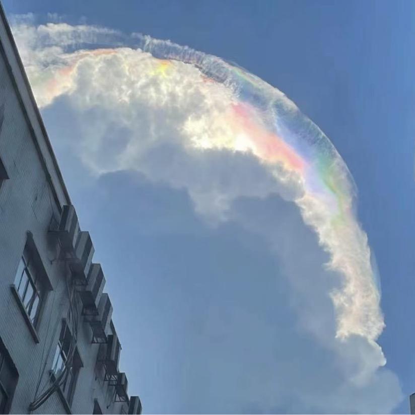 灰太狼🐺