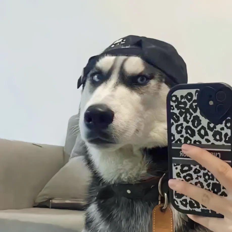 哈 哈  哈
