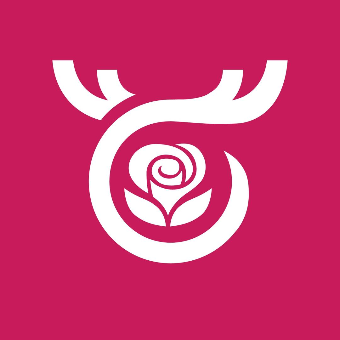 花奇艺