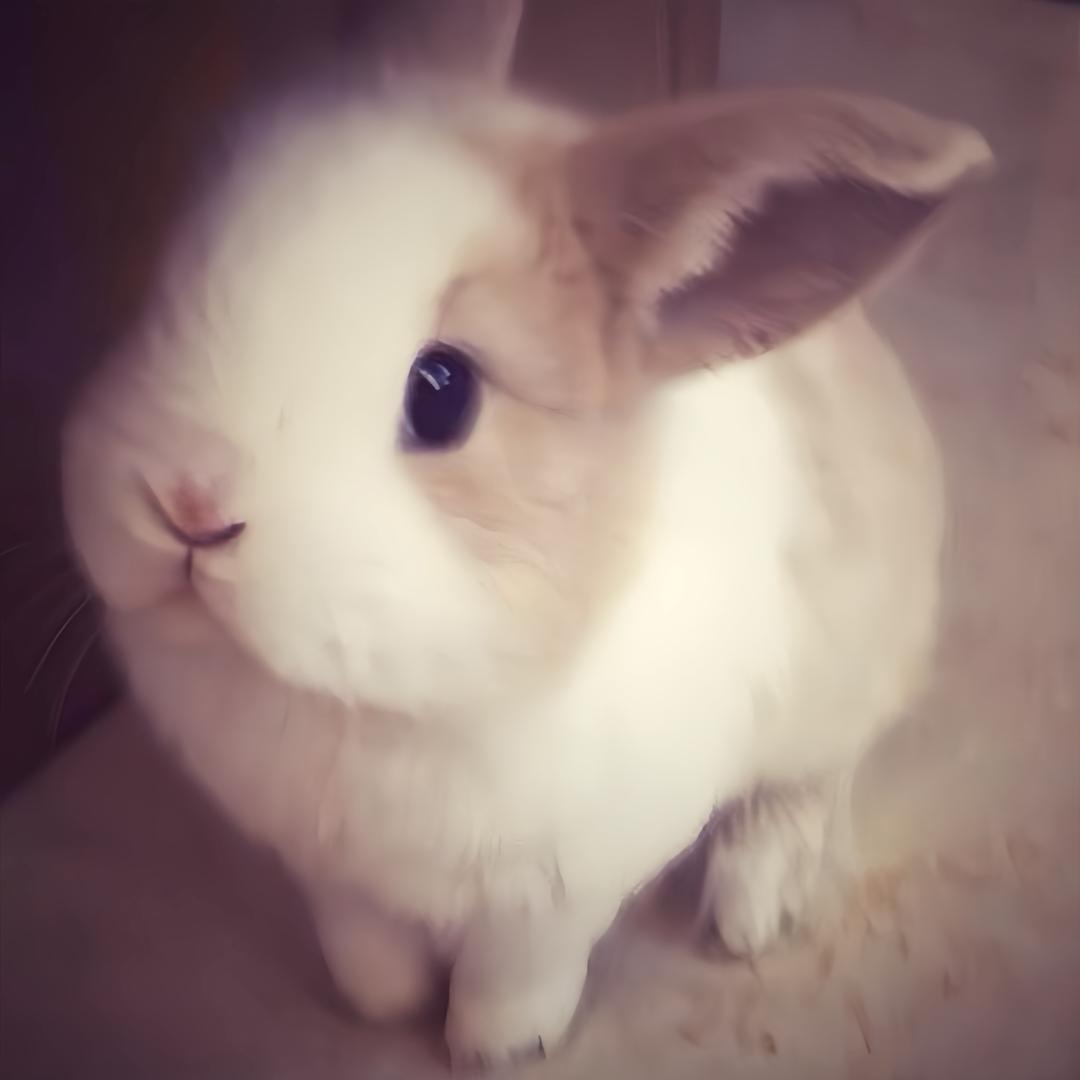 来一下