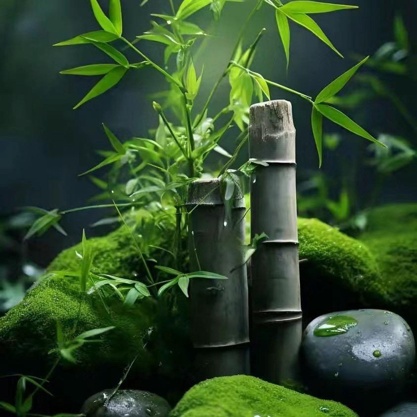 青风绿植