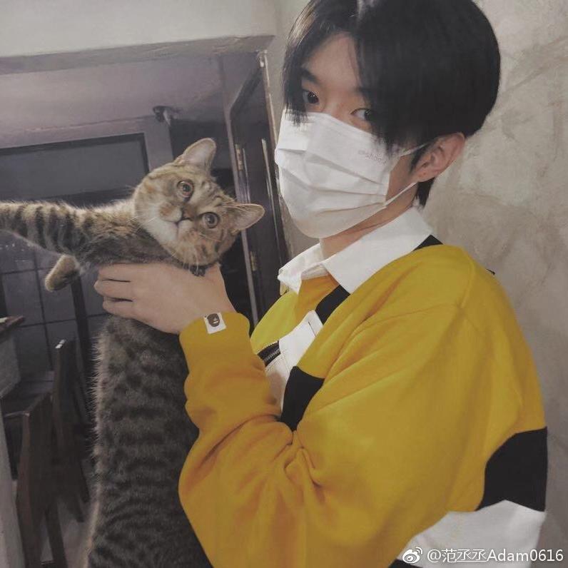 🌈石榴吻痕🌈