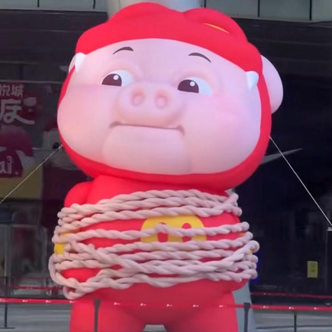 保利小缅北，韭菜