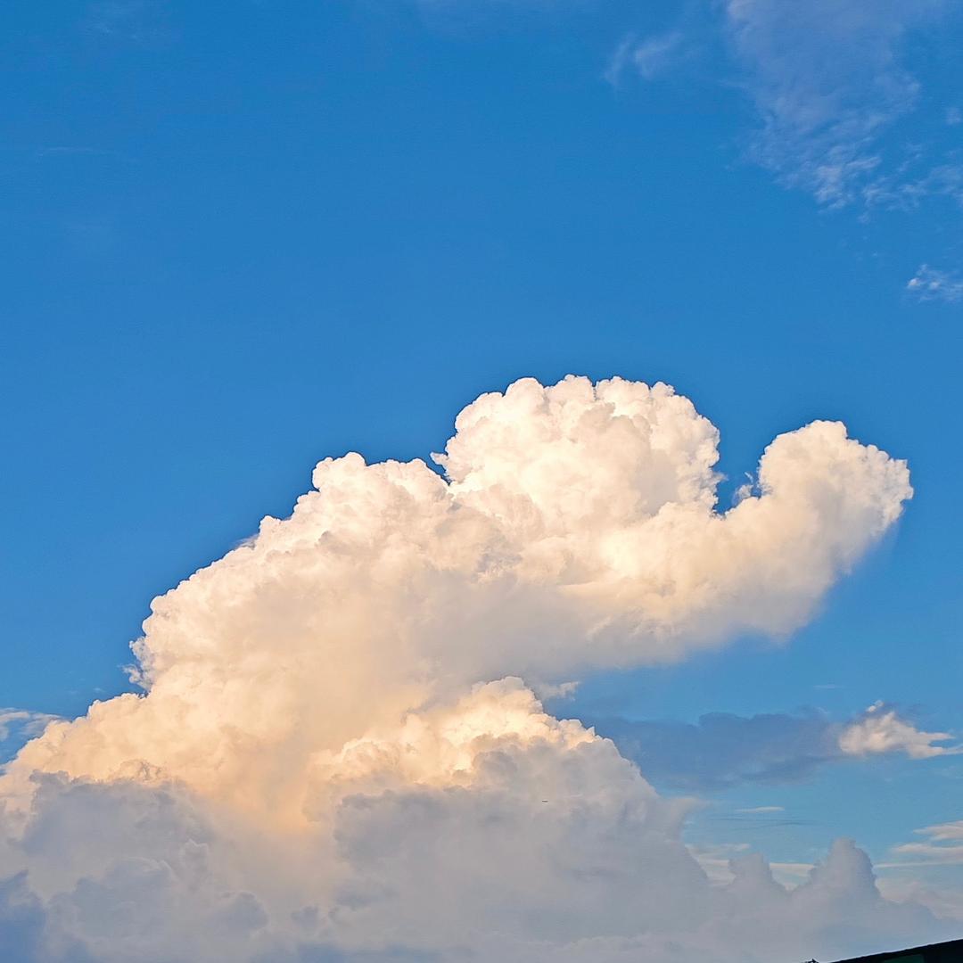 一张不够花🤷‍♀️