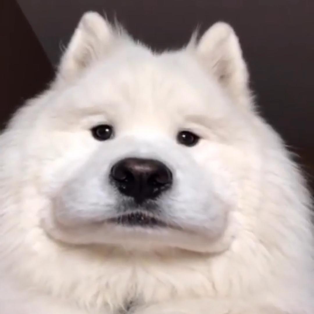 韩伯