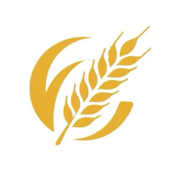 北纬29度的金西答案