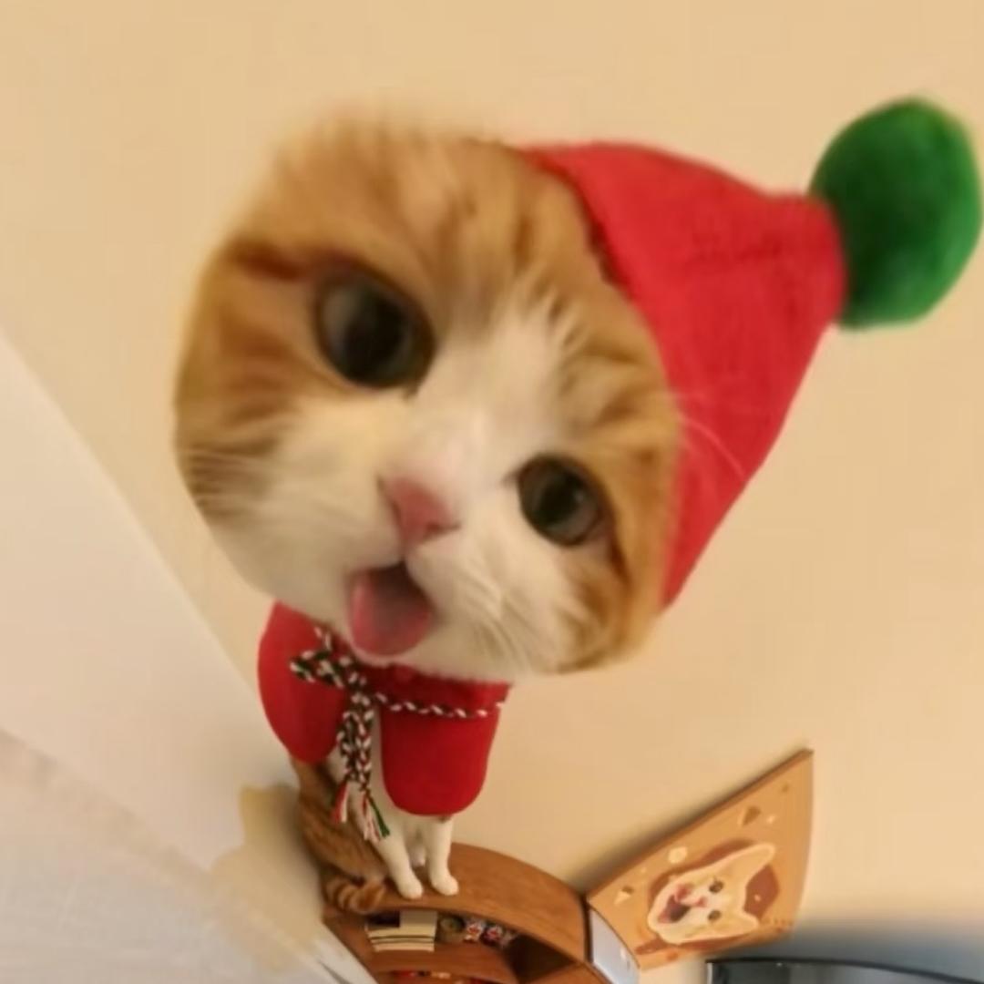 菜酱_^