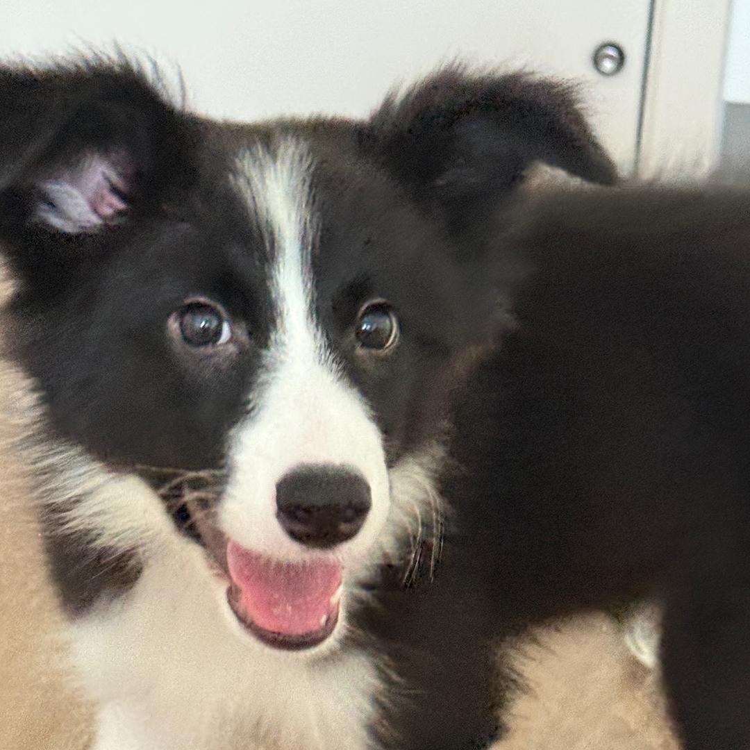 阿水水水水水💦