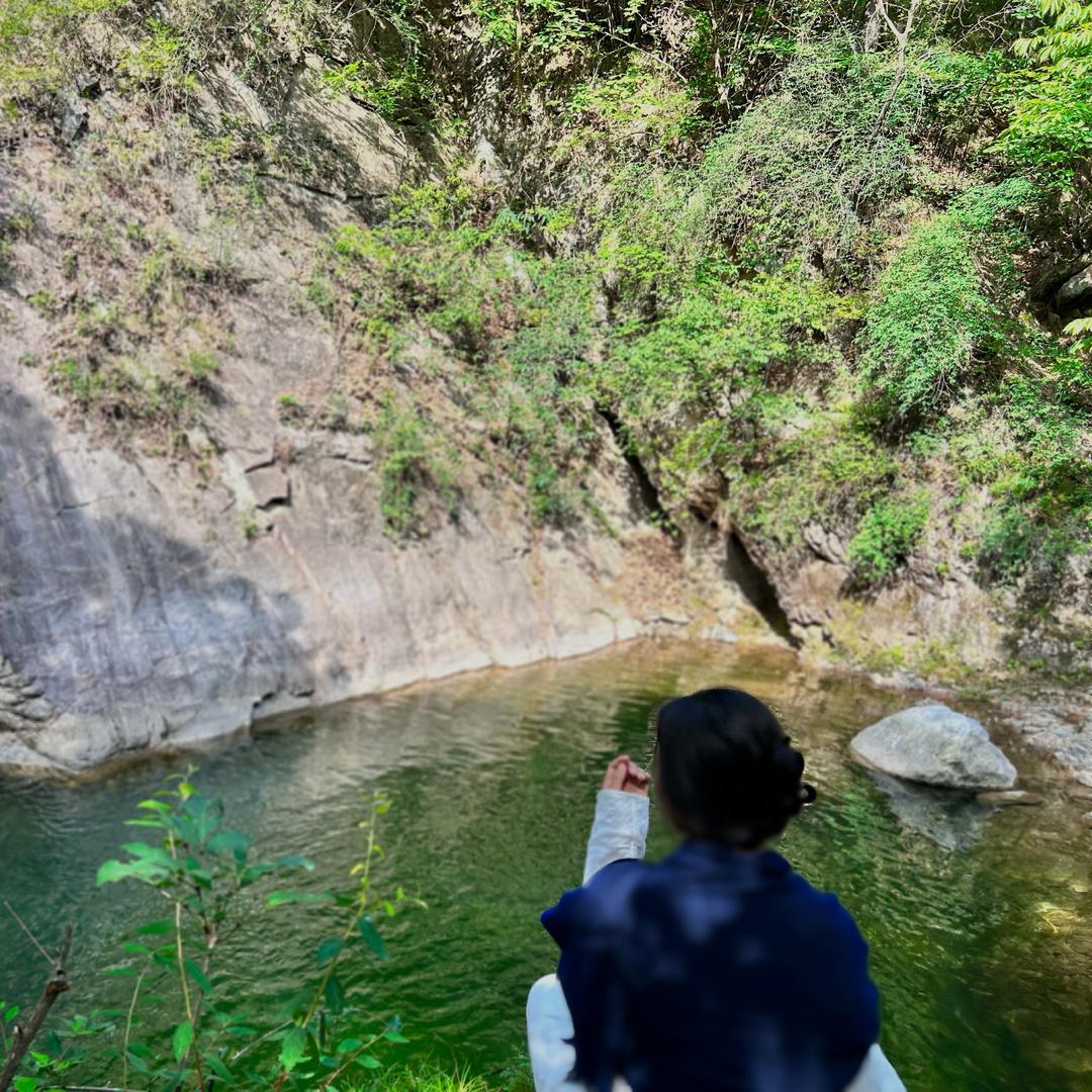 是青笠🌳