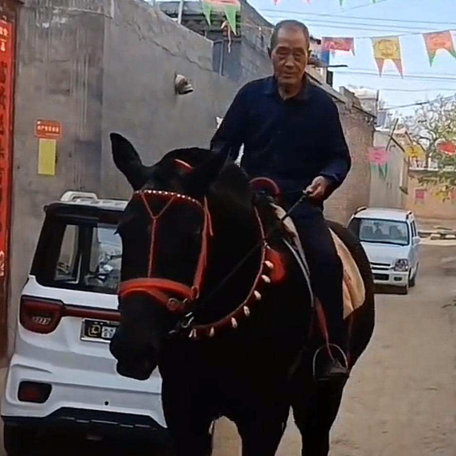 老人与马车